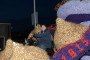 Thumbs/tn_Bloemencorso 2015 168.jpg